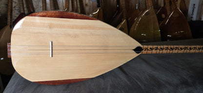 Orta Kalite Uzun Sap 40 tekne Kestane Agaci