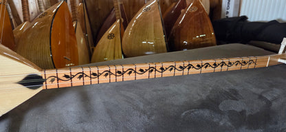 Orta Kalite Uzun Sap 40 tekne Kestane Agaci