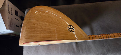 Orta Kalite Uzun Sap 40 tekne Kestane Agaci