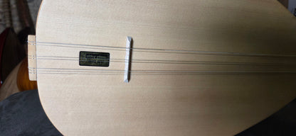 Orta plus Kisa Sap 40 tekne Kiraz Agaci