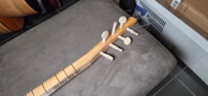 B STOCK Orta Kalite Uzun Sap 40 tekne Paduk agaci