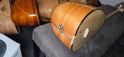 B STOCK Orta kalite Uzun sap 40 tekne Kestane agaci