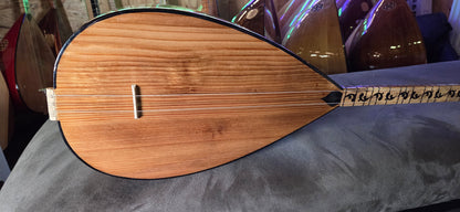 Orta kalite Kisa sap 40 tekne Ceviz agaci