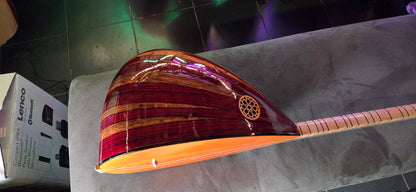 B STOCK Orta kalite Kisa sap 40 tekne Ardic agaci