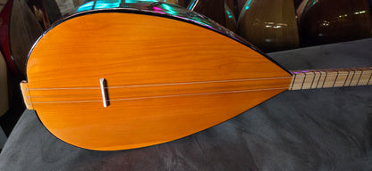 B STOCK Orta kalite Kisa sap 40 tekne Ardic agaci